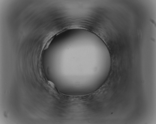 X0000091340289200708241229