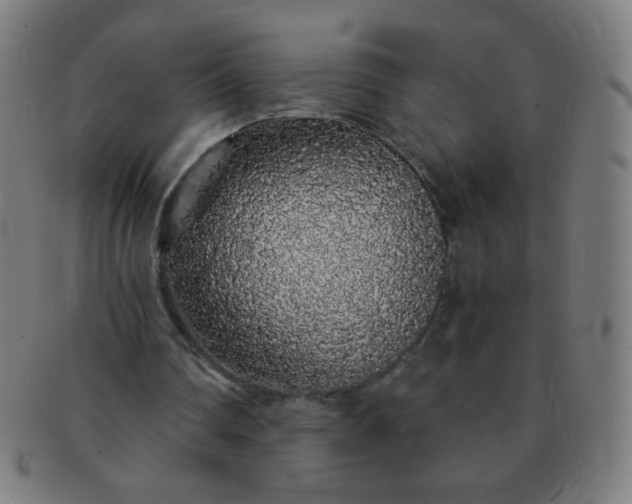 X0000091340290200708241229