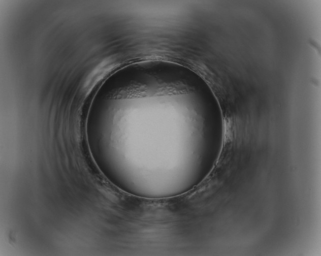 X0000091340291200708241229