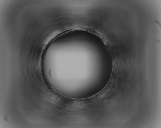 X0000091340292200708241229