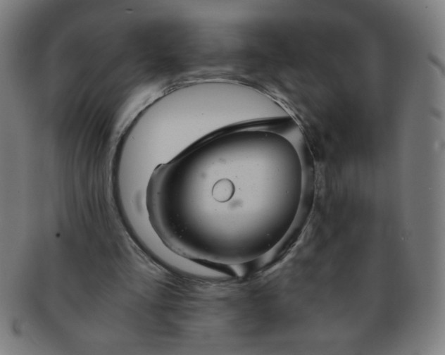 X0000091340293200708241229