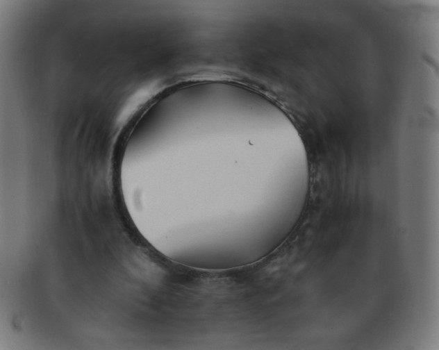 X0000091340296200708241229