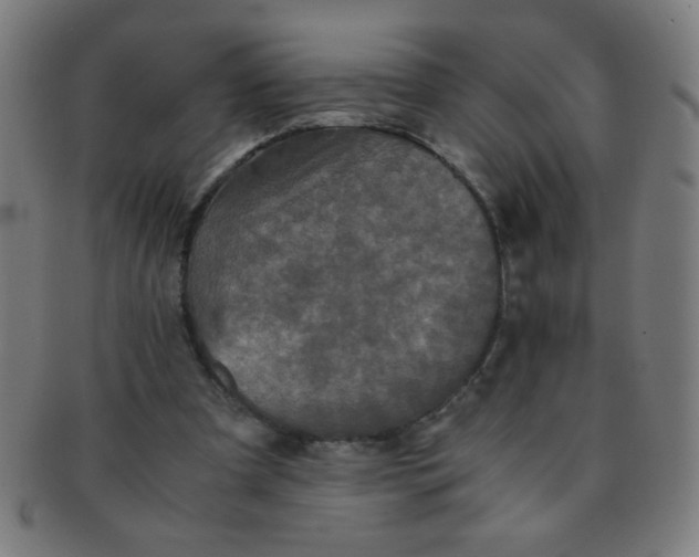 X0000091340297200708241229