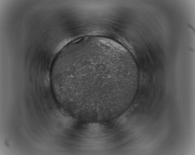 X0000091340298200708241229