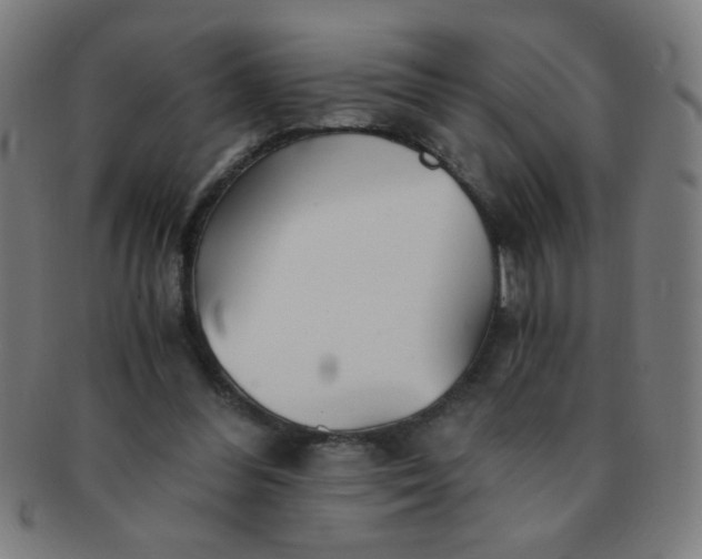 X0000091340300200708241229