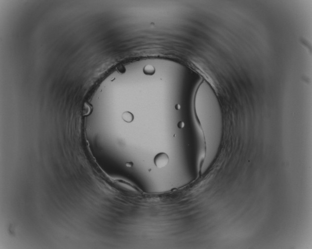 X0000091340301200708241229