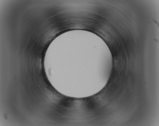 X0000091340302200708241229