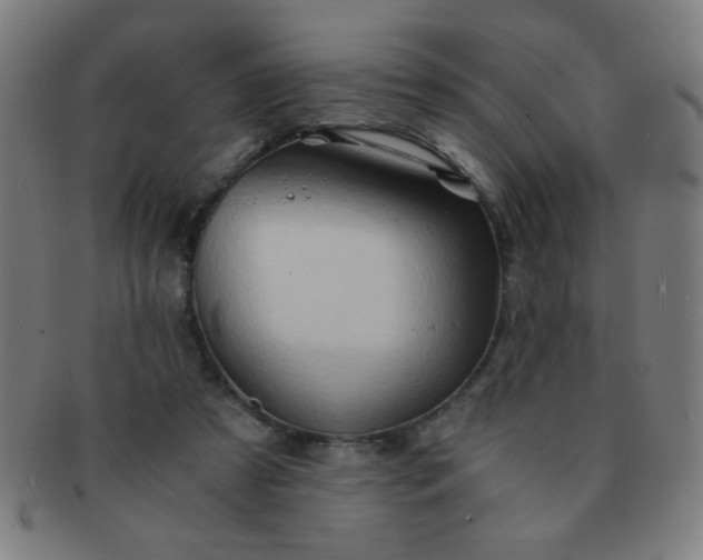 X0000091340305200708241229