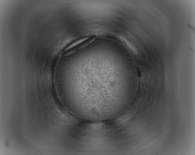 X0000091340306200708241229