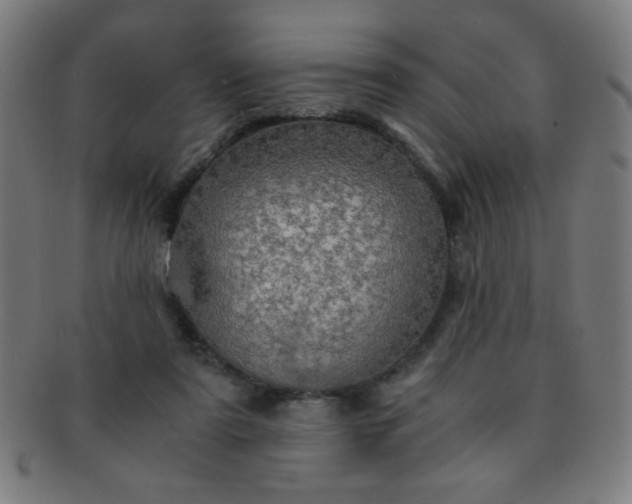 X0000091340307200708241229