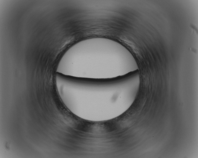 X0000091340308200708241229