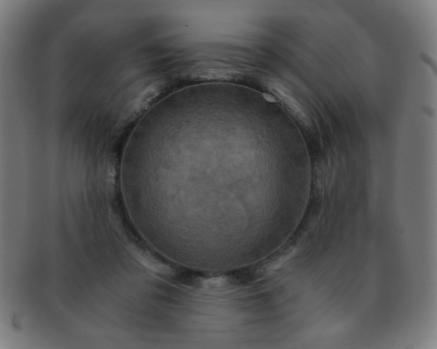 X0000091340309200708241229