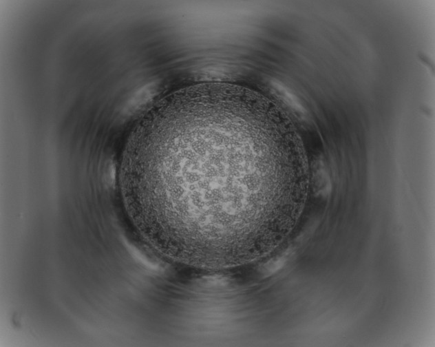 X0000091340310200708241229