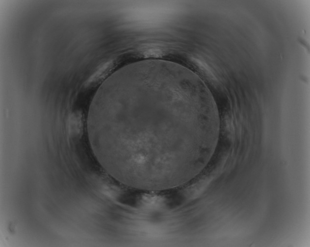 X0000091340311200708241229