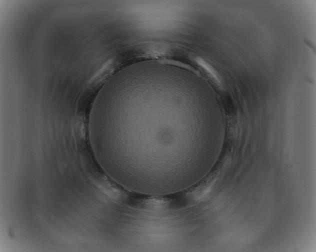 X0000091340313200708241229