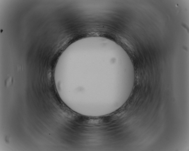 X0000091340314200708241229