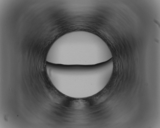 X0000091340316200708241229