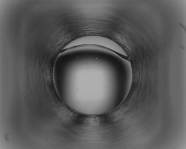 X0000091340317200708241229