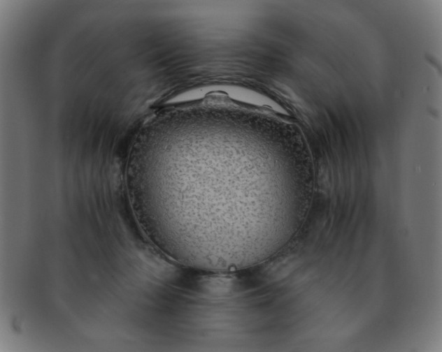 X0000091340318200708241229