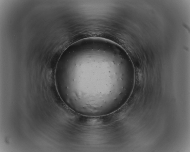 X0000091340319200708241229