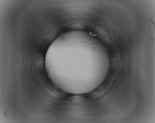 X0000091340320200708241229