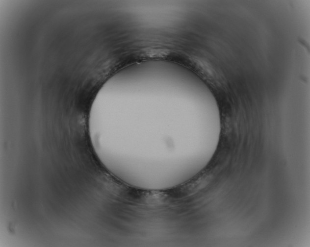 X0000091340321200708241229