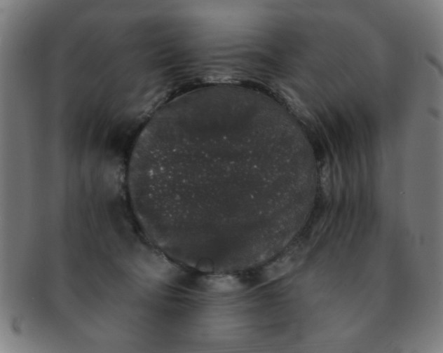 X0000091340322200708241229