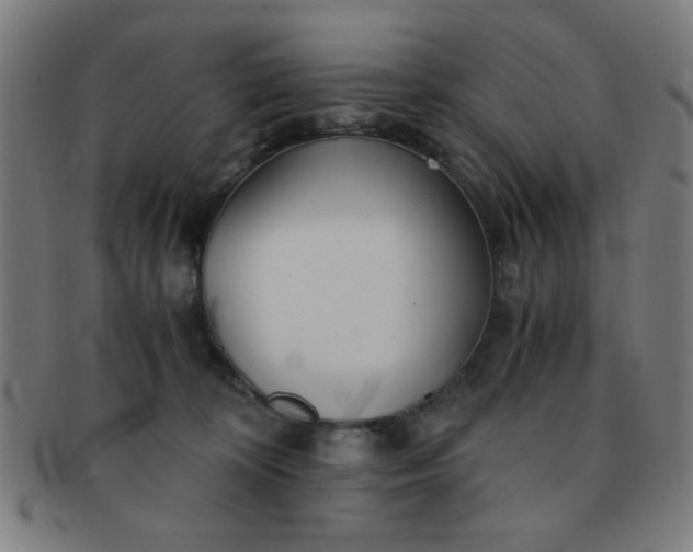 X0000091340324200708241229