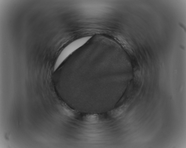 X0000091340325200708241229