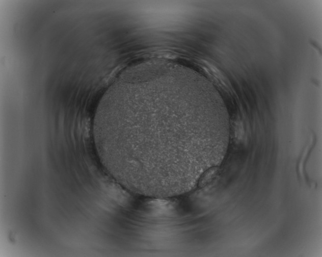 X0000091340326200708241229