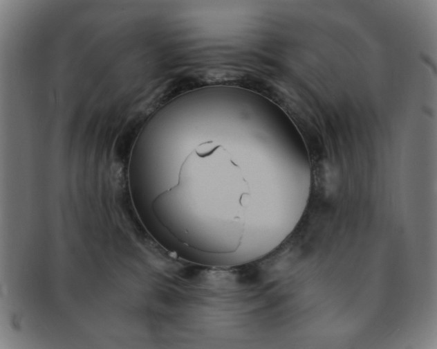 X0000091340327200708241229