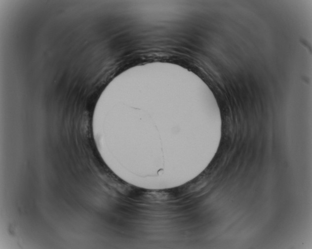 X0000091340328200708241229