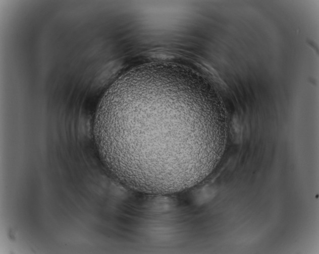 X0000091340330200708241229