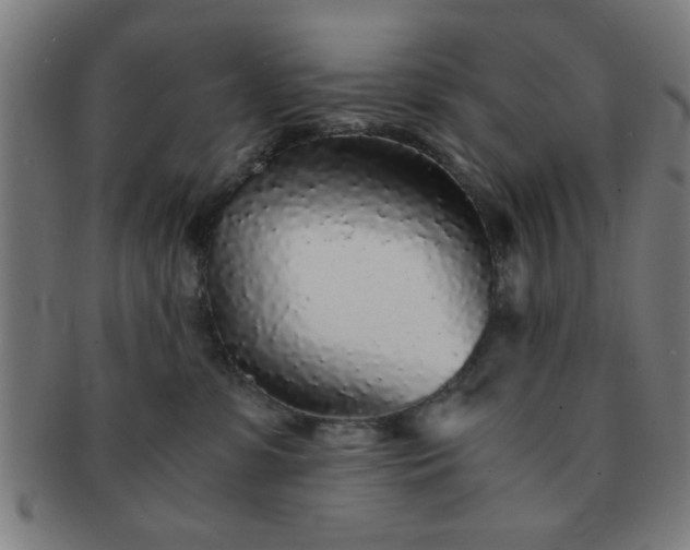 X0000091340331200708241229