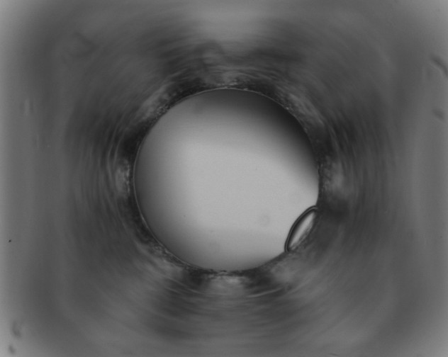 X0000091340332200708241229