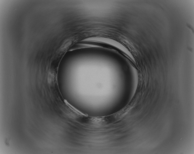 X0000091340333200708241229