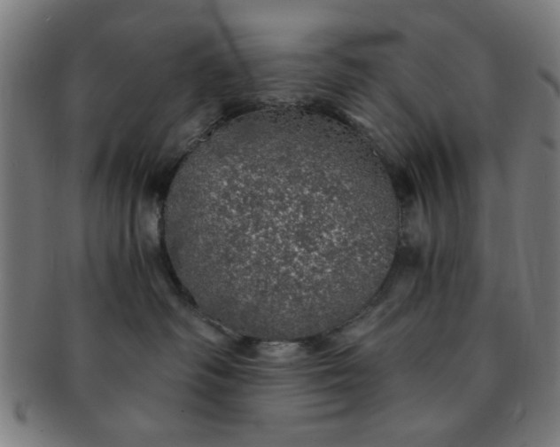 X0000091340334200708241229