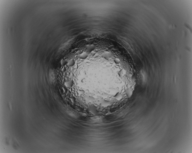 X0000091340335200708241229