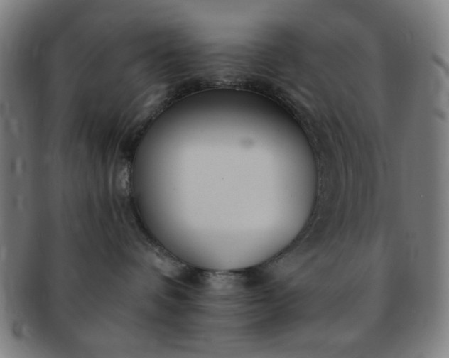 X0000091340336200708241229