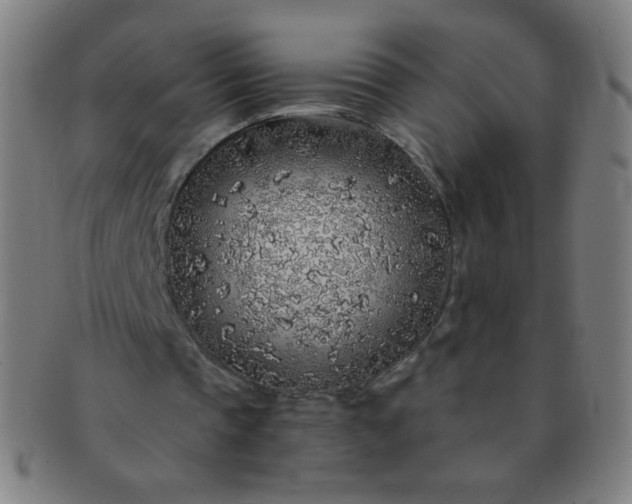 X0000091340337200708241228