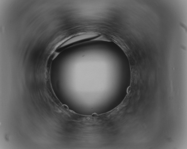 X0000091340338200708241228