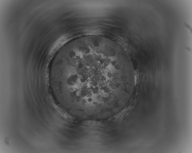 X0000091340339200708241228