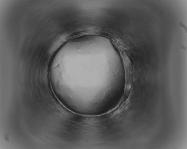 X0000091340341200708241228