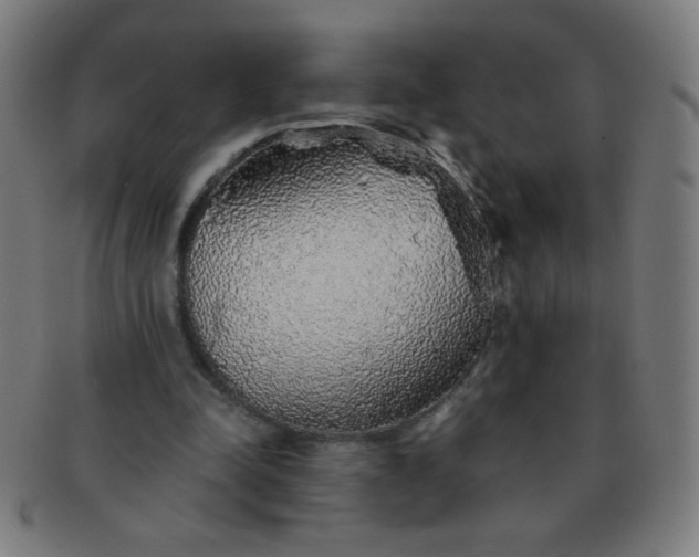 X0000091340342200708241228