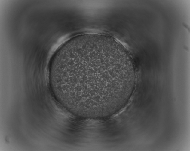 X0000091340343200708241228