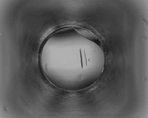 X0000091340344200708241228