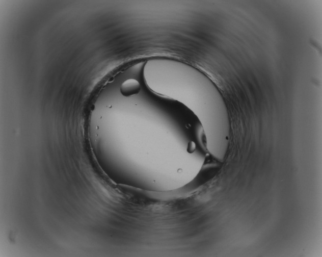 X0000091340350200708241228