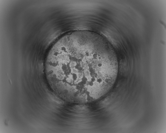 X0000091340351200708241228