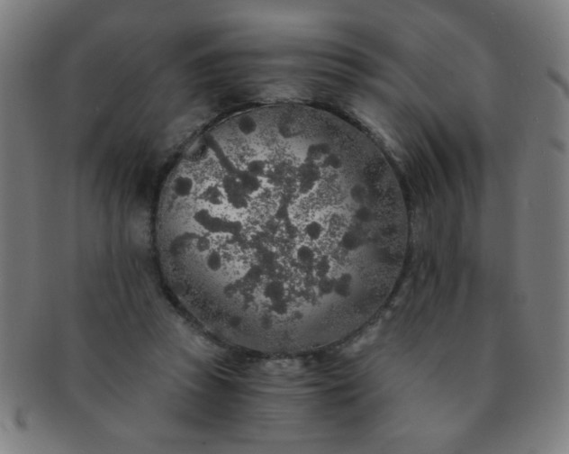 X0000091340353200708241228