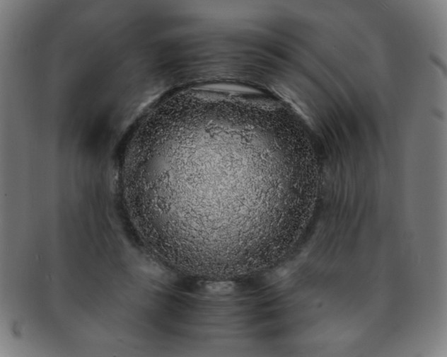 X0000091340355200708241228